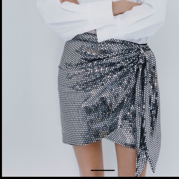 NWT Zara Skirt size:XS - Picture 5 of 10